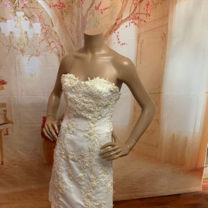 Two-in one Wedding Dress