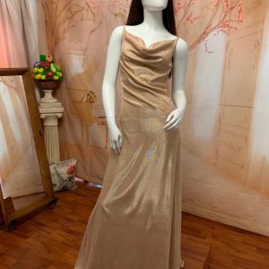 Evening & Matric Farewell Dresses