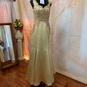 Evening & Matric Farewell Dresses